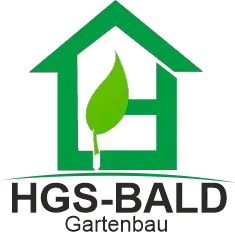 HGS Bald test wordpress